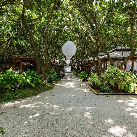 Magical Wonderkoi House In A Japanese Koi Garden Villa Miami Exterior photo