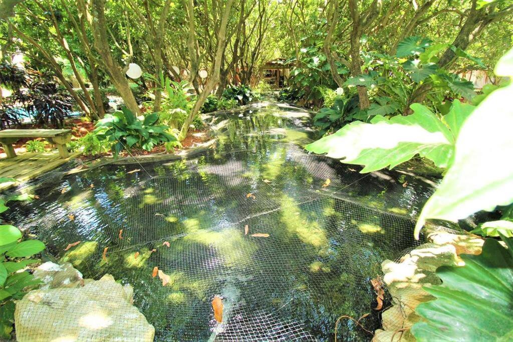 Magical Wonderkoi House In A Japanese Koi Garden Villa Miami Exterior photo